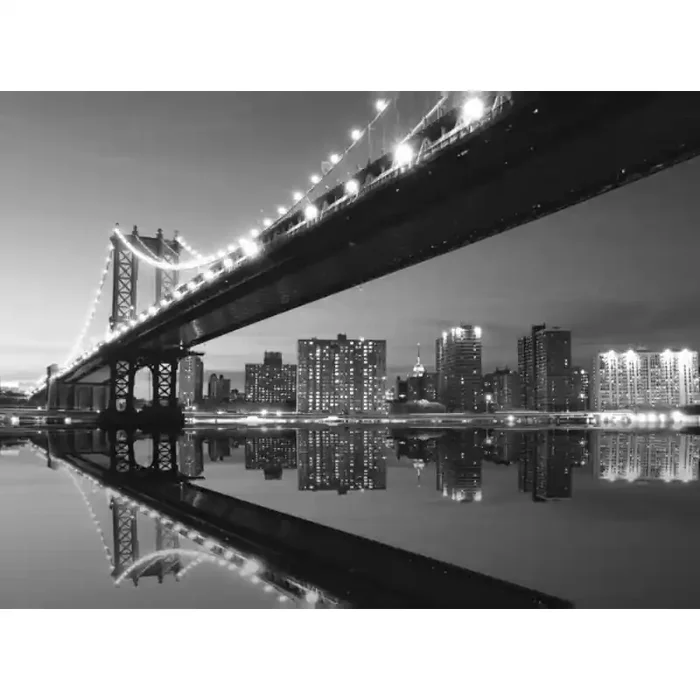 Fotomural NEW YORK NY17, 250cm. x 181cm., Papel Pintado, Blanco y Negro, Original, 0x0x0x0 cm.