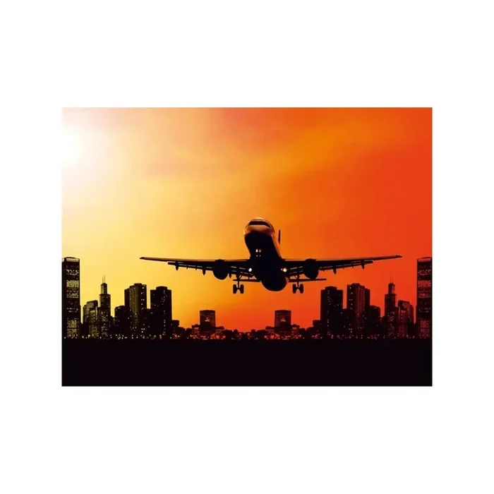 Fotomural NIGHT FLIGHT FT-0183