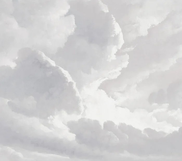 fotomural nubes gris de Sanders & Sanders – 640845