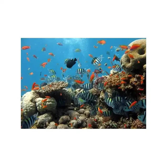 Fotomural OCEAN 4-005P