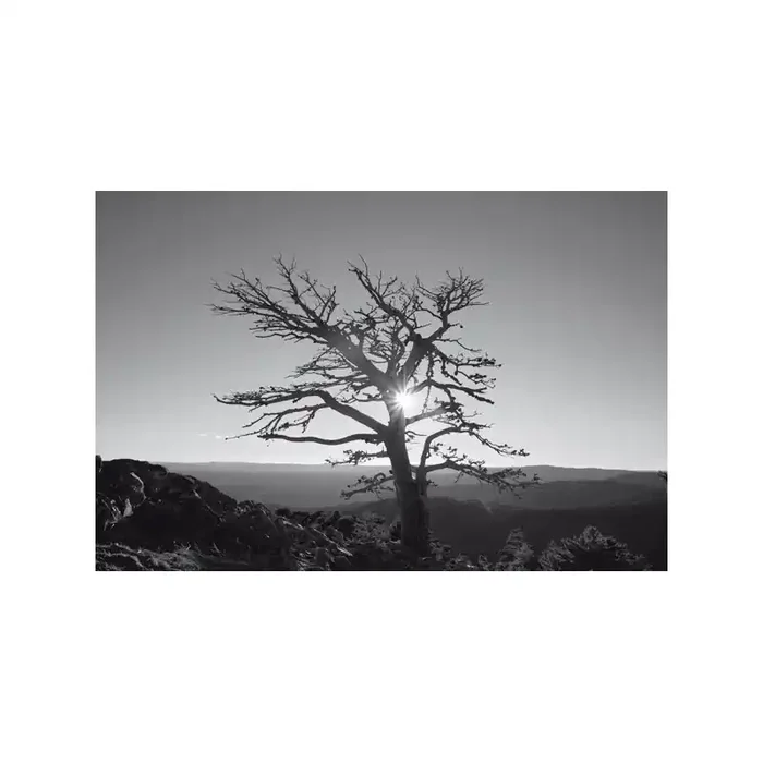Fotomural ONE & DUE 2015