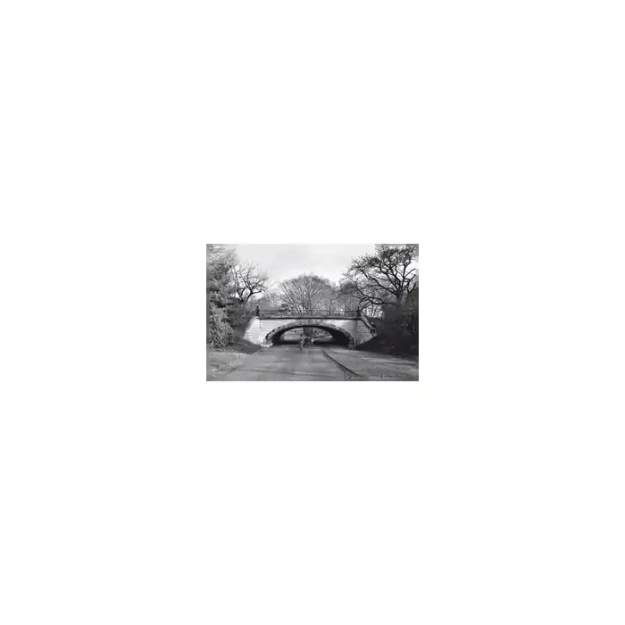 Fotomural ONE DUE 2055, 400cm. x 200cm., Papel Pintado, Todo Color, Original, 0x0x0x0 cm.