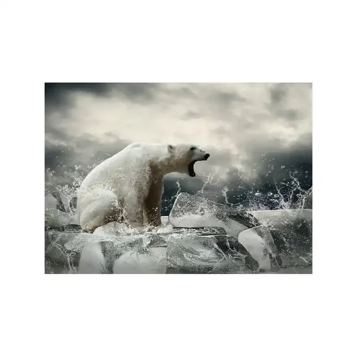 Fotomural Osos Polar FAN038