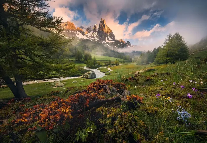fotomural paisaje boscoso verde de Komar – 610925
