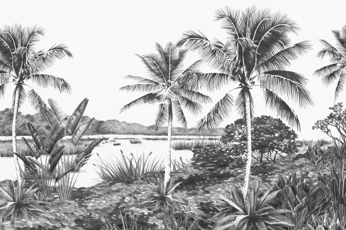 fotomural paisaje con palmeras blanco y negro de ESTAhome – 159344