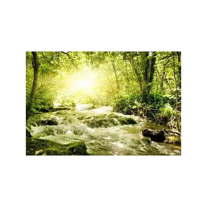 Fotomural Paisaje con Rio FNA011