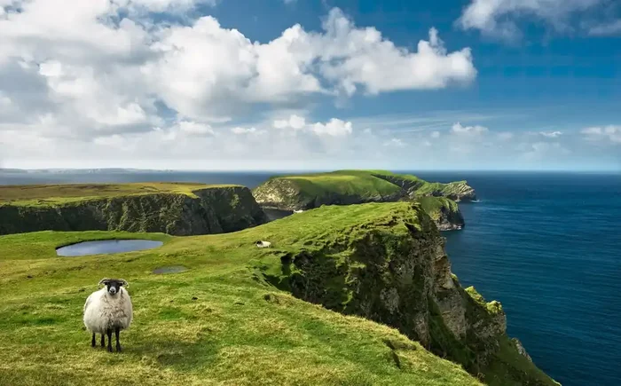 fotomural paisaje de irlanda verde y azul de Sanders & Sanders – 612629
