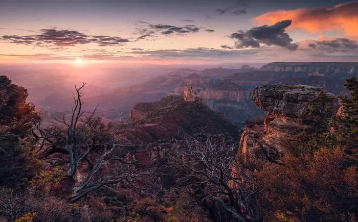 fotomural paisaje gris, marrón y rosa suave de Sanders & Sanders – 612693