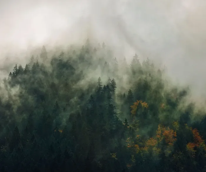 fotomural paisaje verde de Sanders & Sanders – 612383
