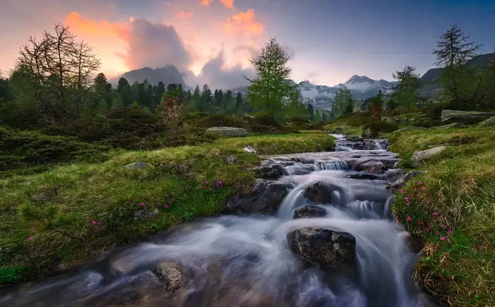 fotomural paisaje verde y azul de Sanders & Sanders – 612678