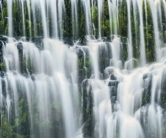 fotomural paisaje verde y blanco de Sanders & Sanders – 612499