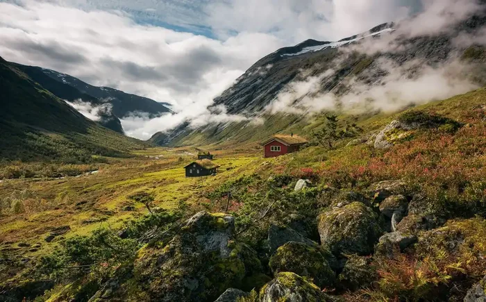 fotomural paisaje verde y blanco de Sanders & Sanders – 612659