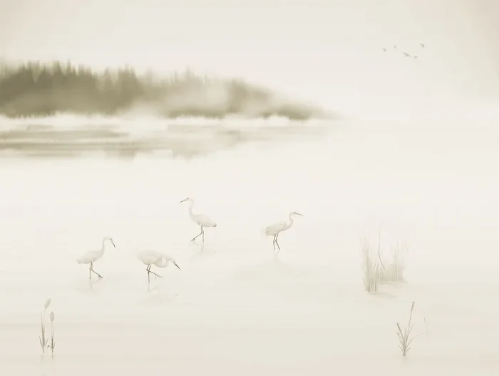 fotomural pájaros grulla beige cálido de Sanders & Sanders – 640839