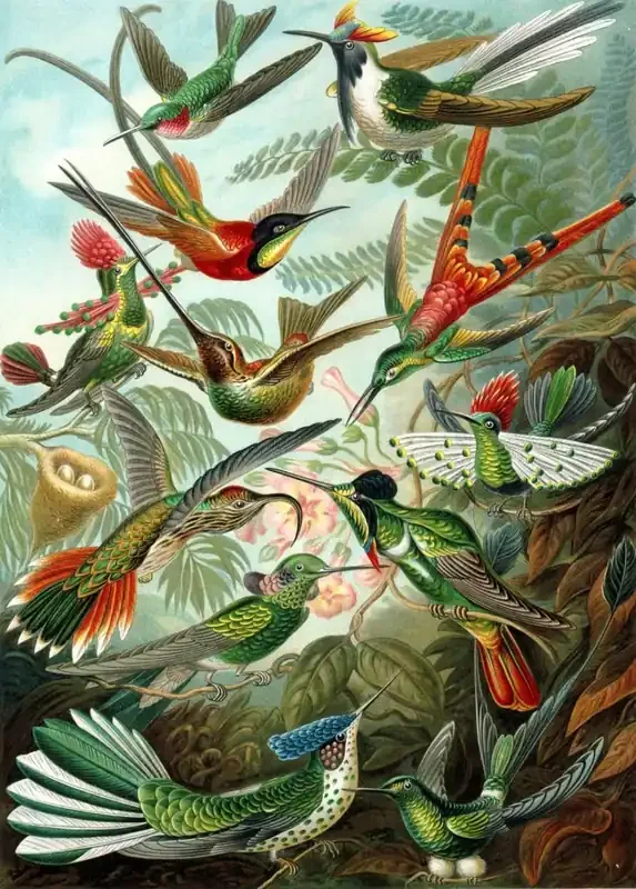 fotomural pájaros verde selva tropical de ESTAhome – 159356