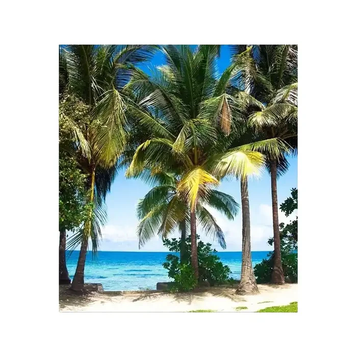 Fotomural PALM BEACH FTL-1610