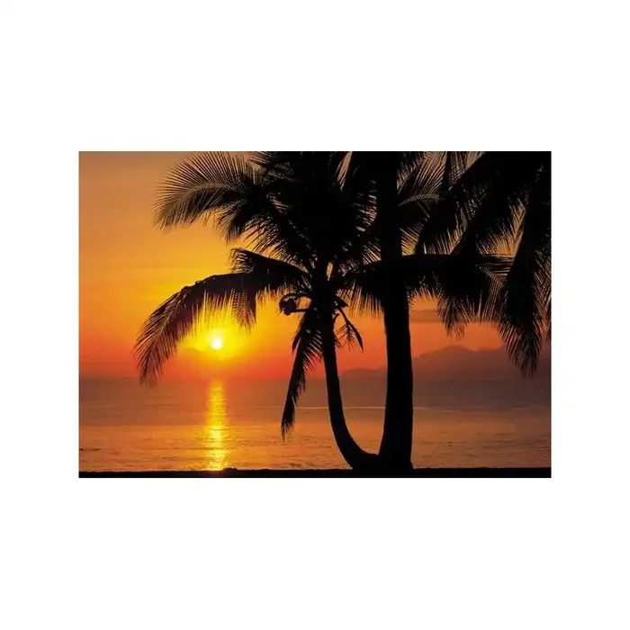 Fotomural PALMY BEACH SUNRISE