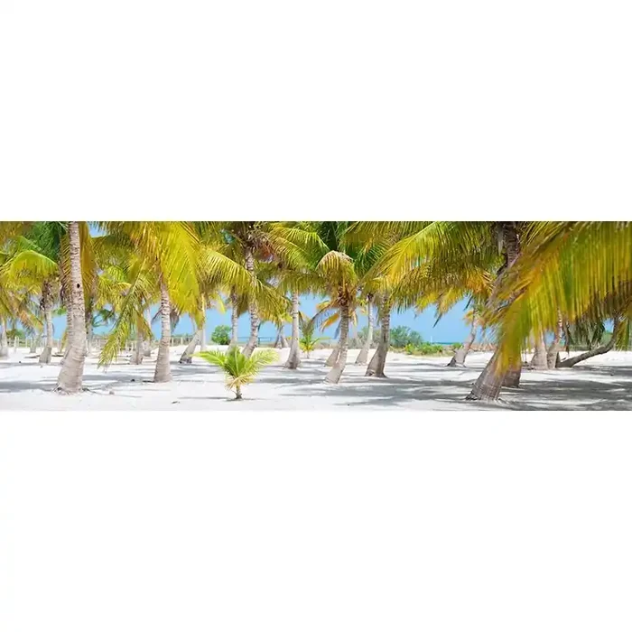 Fotomural Panoramico Palmeras 0P-81003