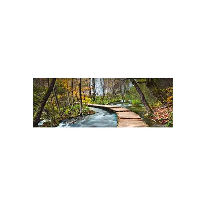 Fotomural PATH INTO THE FOREST