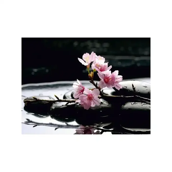 Fotomural PINK ON STONES