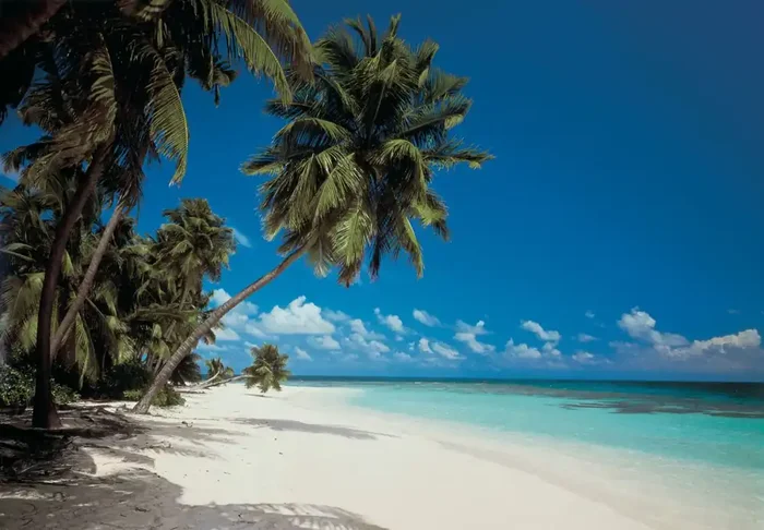 fotomural playa azul y verde de Komar – 610937
