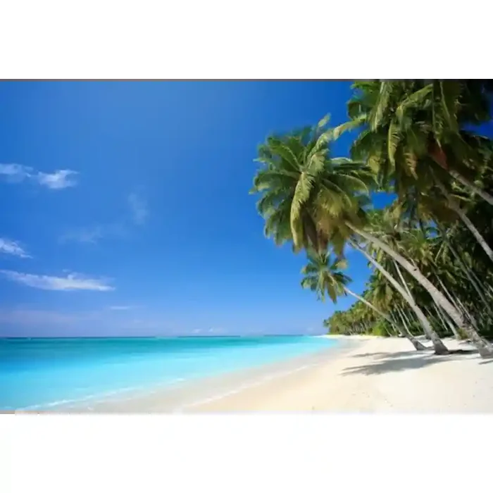 Fotomural Playa FPL013, 100cm. x 67cm., Vinilo Autoadhesivo Mate, Todo Color, Original, 0x0x0x0 cm.