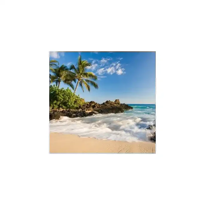 Fotomural Playa FPL014, 240cm. x 230cm., Vinilo Autoadhesivo Mate, Todo Color, Original, 16.32x0x59.64×0 cm.