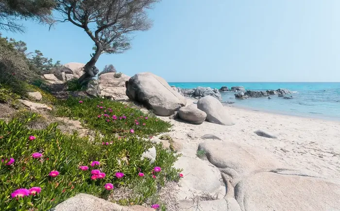 fotomural playa verde, gris y azul de Sanders & Sanders – 612642