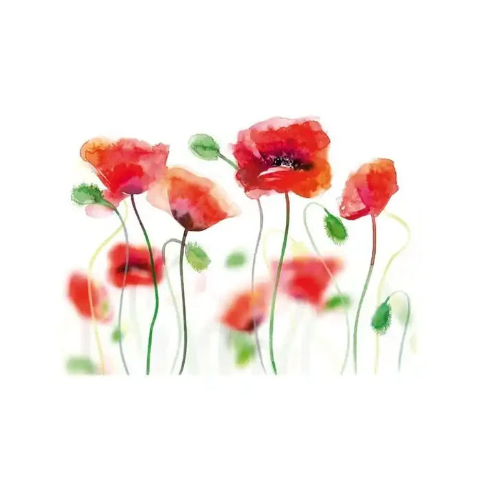 Fotomural POPPIES IN WATE COLOURS FT-0197