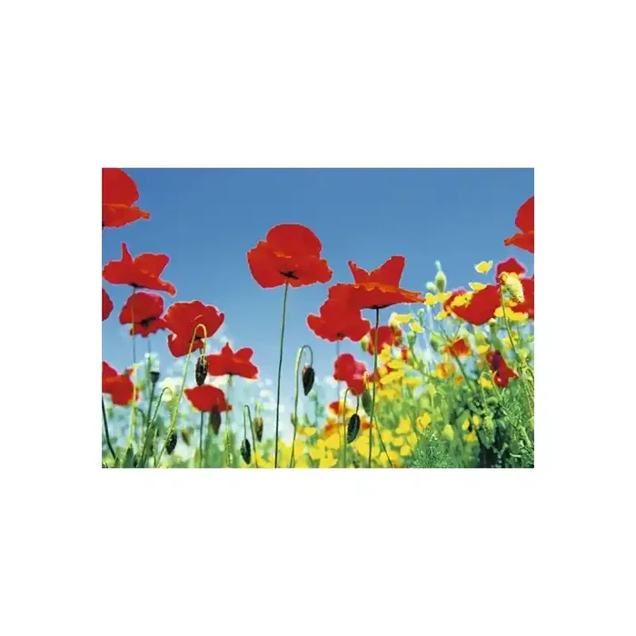 Fotomural POPPY FIELD