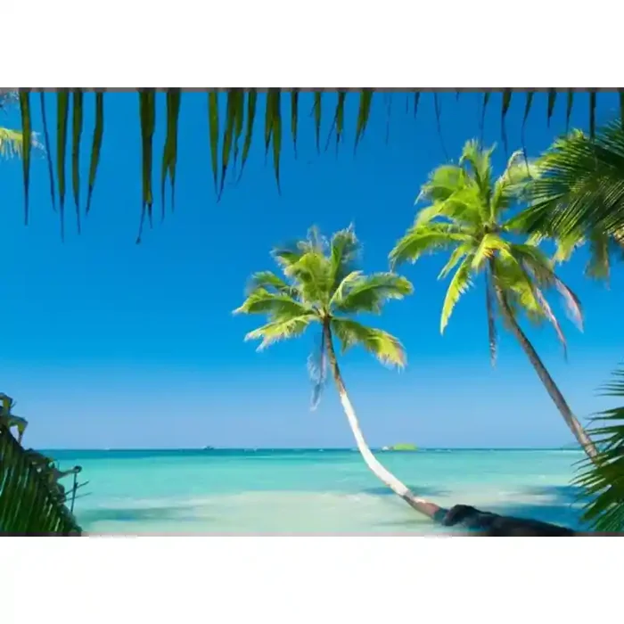 Fotomural Praia FPL008, 100cm. x 70cm., Vinilo Autoadhesivo Mate, Todo Color, Original, 0x0x0x0 cm.