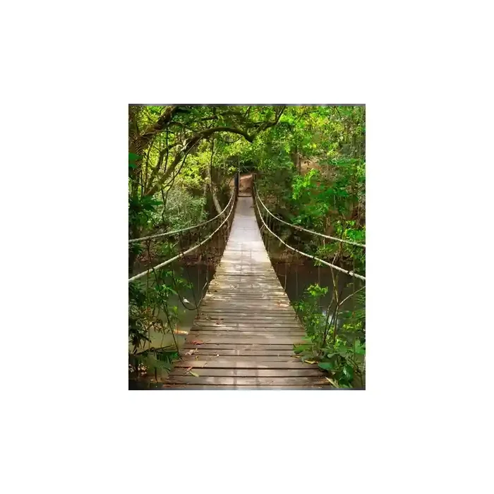 Fotomural Puente en la Selva FPR018, 160cm. x 190cm., Vinilo Autoadhesivo Mate, Todo Color, Original, 0x30x0x30 cm.