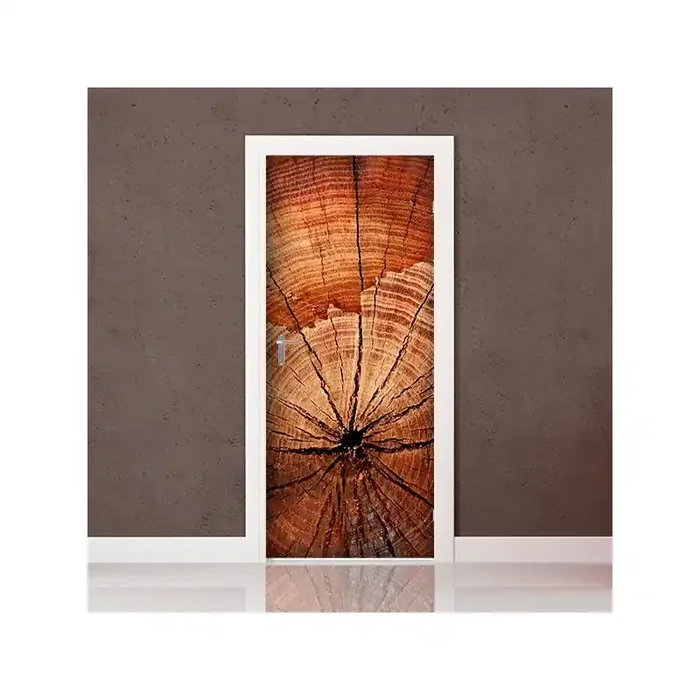 Fotomural Puerta P087