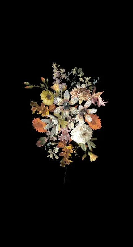 fotomural ramo de flores multi color sobre negro de ESTAhome – 159215