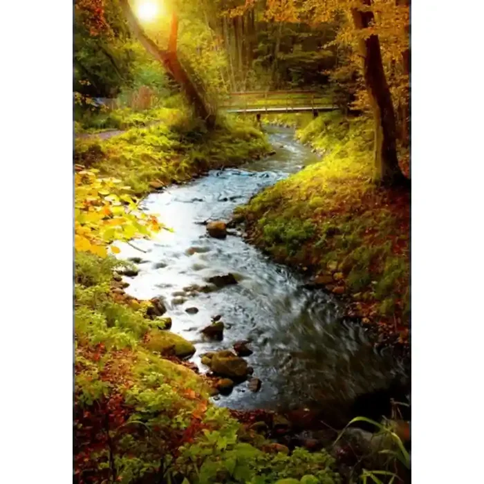 Fotomural Rio en el Bosque FNA001, 100cm. x 145cm., Vinilo Autoadhesivo Mate, Todo Color, Original, 0x0x0x0 cm.