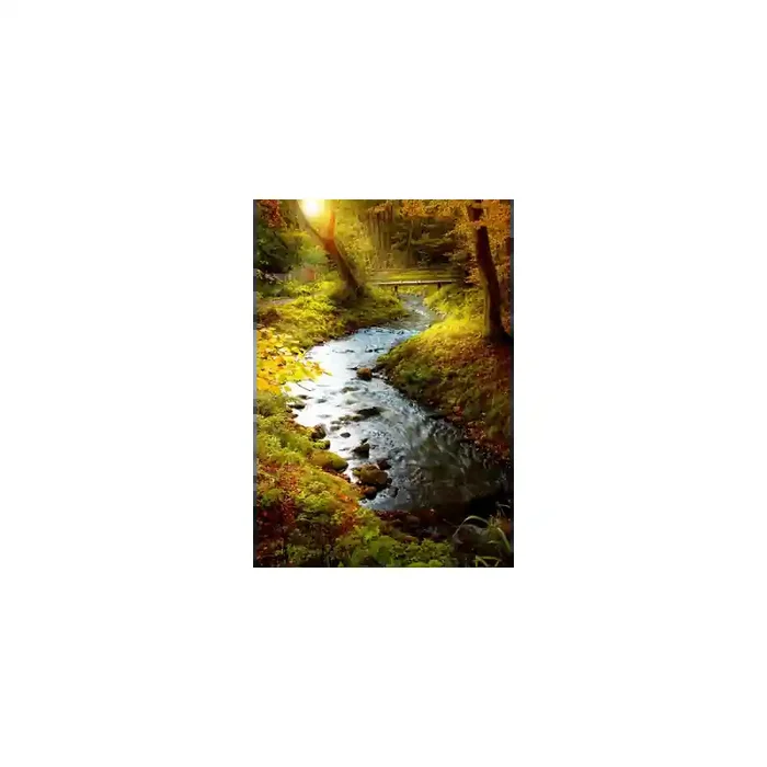 Fotomural Rio en el Bosque FNA001, 207cm. x 220cm., Vinilo Autoadhesivo Mate, Todo Color, Original, 0x0x0x0 cm.