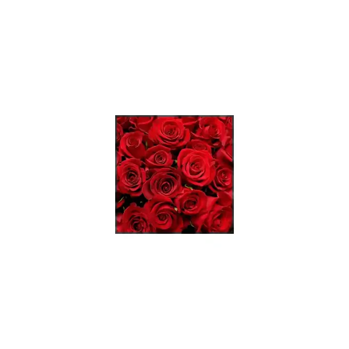 Fotomural Rosas FFL001, 300cm. x 300cm., Vinilo Autoadhesivo Mate, Todo Color, Original, 0x0x0x0 cm.