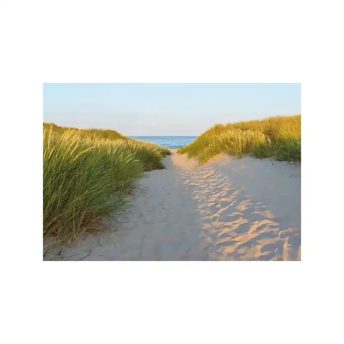 Fotomural SANDY PATH