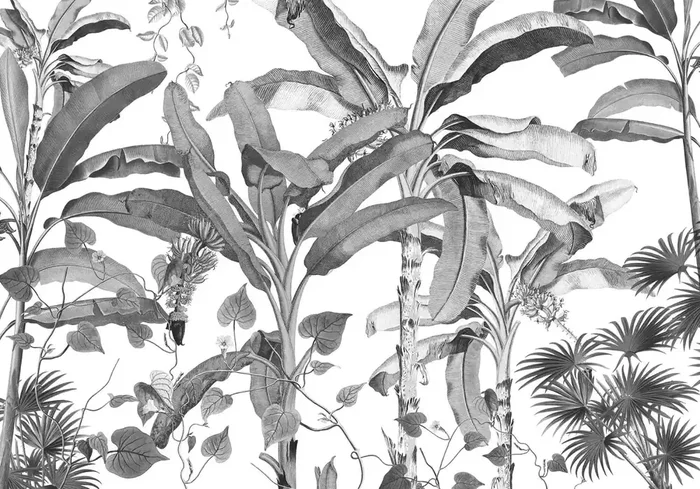 fotomural selva blanco y negro de Sanders & Sanders – 612077