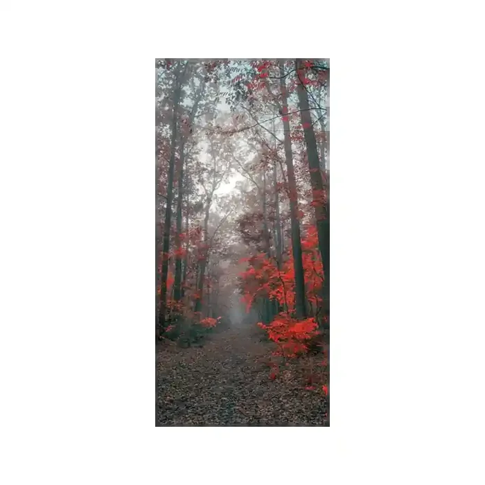 Fotomural Sendero Bosque FPR027, 100cm. x 215cm., Vinilo Autoadhesivo Mate, Todo Color, Original, 19.04x0x11.19×0 cm.
