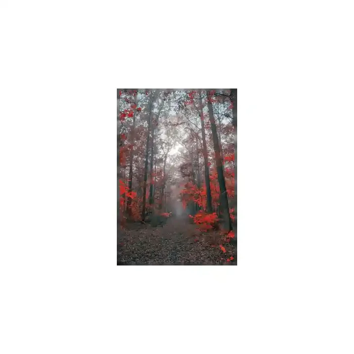 Fotomural Sendero Bosque FPR027, 174cm. x 267cm., Vinilo Autoadhesivo Mate, Todo Color, Original, 0x0x0x0 cm.