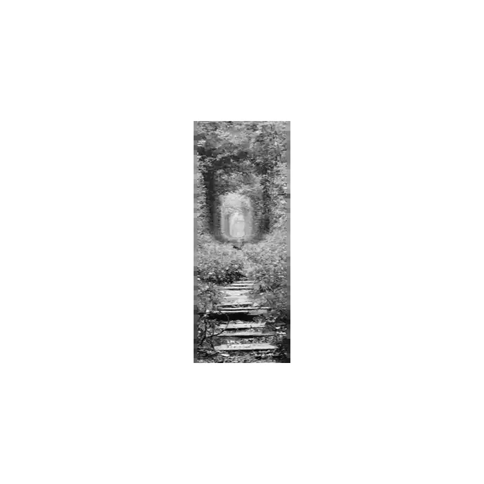Fotomural Sendero Bosque FPR034, 100cm. x 270cm., Vinilo Autoadhesivo Mate, Blanco y Negro, Original, 29.08x0x46.23×0 cm.