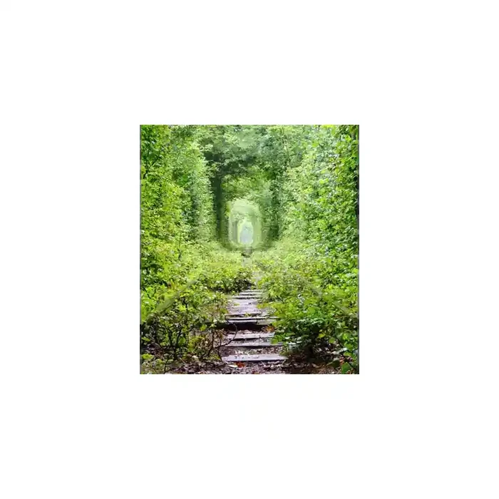 Fotomural Sendero Bosque FPR034, 130cm. x 150cm., Vinilo Autoadhesivo Mate, Todo Color, Original, 16.03x0x38.85×0 cm.