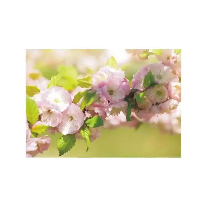 Fotomural SPRING