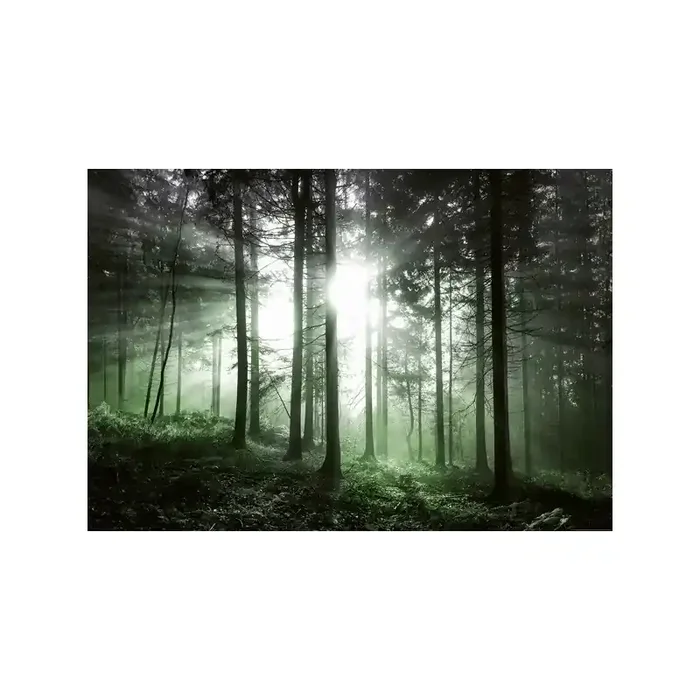 Fotomural SUN RAYS