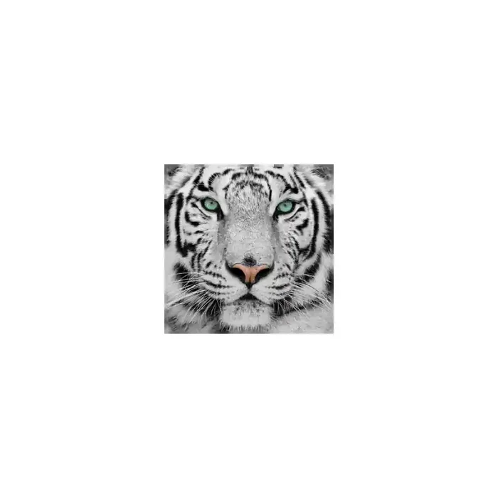 Fotomural Tigre FAN001, 100cm. x 100cm., Vinilo Autoadhesivo Mate, Todo Color, Original, 0x0x0x0 cm.