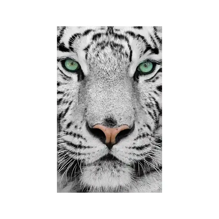 Fotomural Tigre FAN001, 100cm. x 160cm., Vinilo Autoadhesivo Mate, Todo Color, Original, 18.75x0x18.75×0 cm.