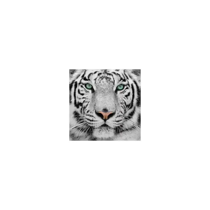 Fotomural Tigre FAN001, 110cm. x 180cm., Vinilo Autoadhesivo Mate, Todo Color, Original, 0x0x0x0 cm.