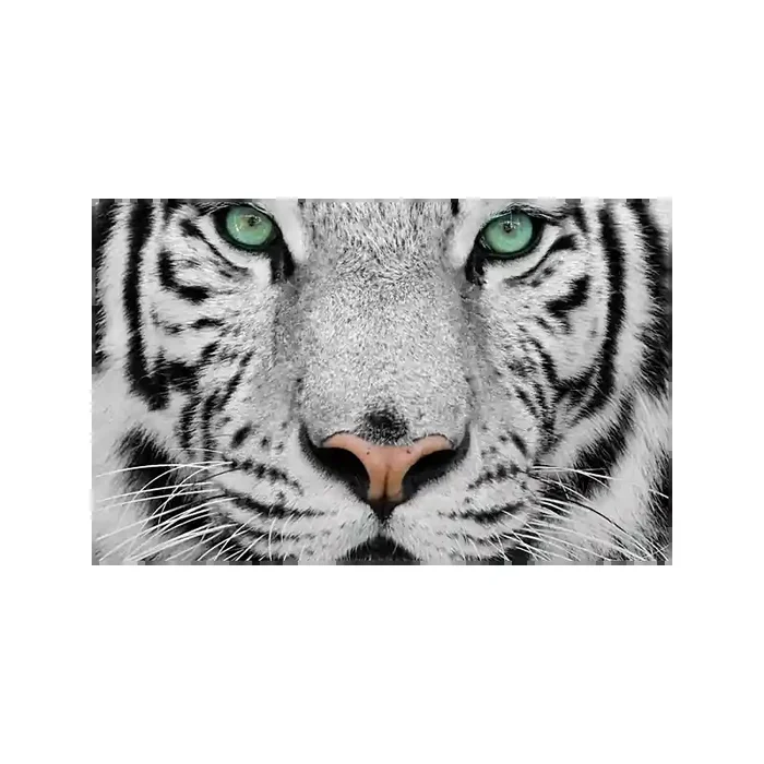 Fotomural Tigre FAN001, 160cm. x 100cm., Vinilo Autoadhesivo Mate, Todo Color, Original, 0x30x0x30 cm.