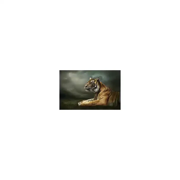 Fotomural Tigre FAN037, 190cm. x 126.7cm., Vinilo Autoadhesivo Mate, Todo Color, Invertir, 0x0x0x0 cm.