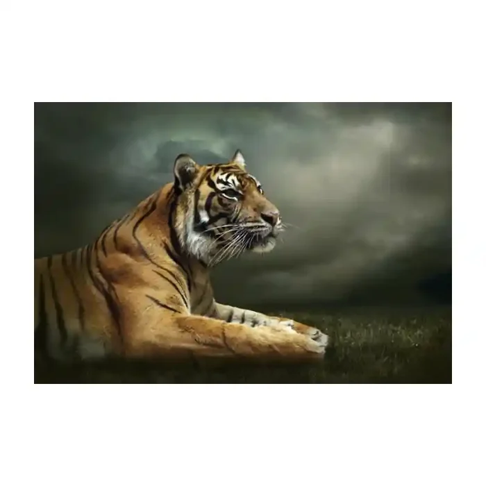 Fotomural Tigre FAN037, 240cm. x 160cm., Vinilo Autoadhesivo Mate, Todo Color, Original, 0x0x0x0 cm.